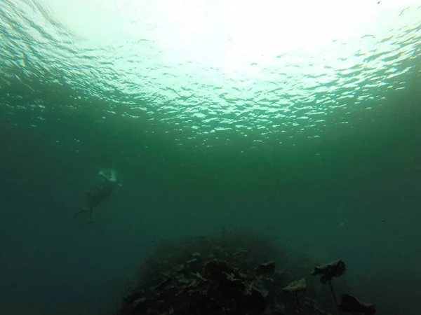 Silhouet Van Mens Die Onderwater Duikt Met Snorkeluitrusting Tankbril Flippers — Stockfoto