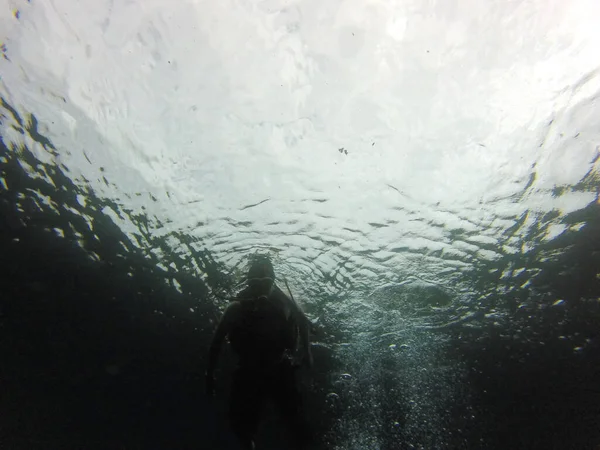 Силуэт Человека Ныряющего Водой Оборудованием Подводного Плавания Танковые Очки Ласты — стоковое фото