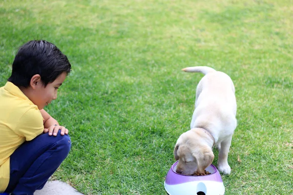 Little Hispanic boy feeds healthy kibble to his newly adopted puppy dog as the newest member of the family
