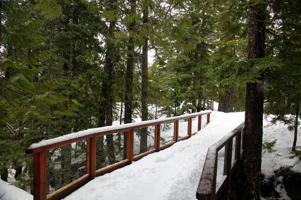 Suspension Bridge Cross Snowy Mountain Hiking Trails White Winter Landscape — Stock fotografie