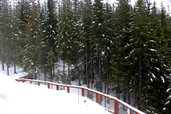 Suspension Bridge Cross Snowy Mountain Hiking Trails White Winter Landscape — Stock fotografie