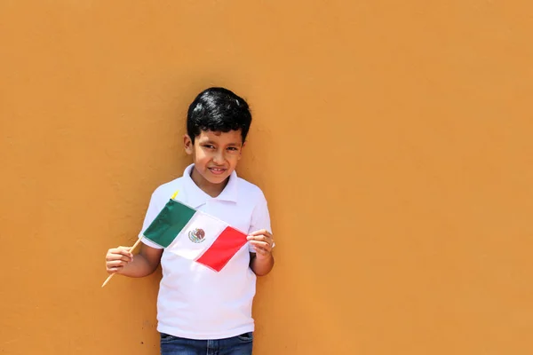 Latynoski Meksykański Chłopiec Lat Pokazuje Flagę Meksyku Dumny Jego Kultury — Zdjęcie stockowe