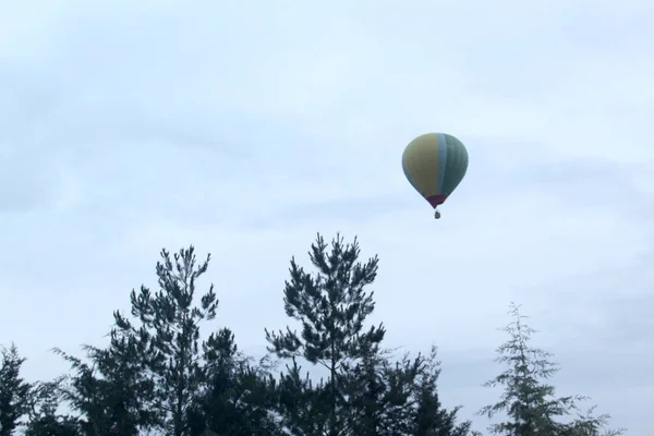 五彩缤纷的热气球在日出时分掠过植被和城市景观 — 图库照片