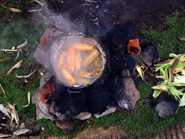 メキシコ文化の伝統的なマヨネーズ レモン チーズ チリで調製された通りで調理し 販売するために蒸気で鍋で煮たエロート — ストック写真