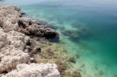 Beyaz kaya oluşumlarından oluşan bir manzara ve su kütlesi, turkuaz mavi renklerden oluşan bir göl. Laguna de Alchichica, Puebla Meksika