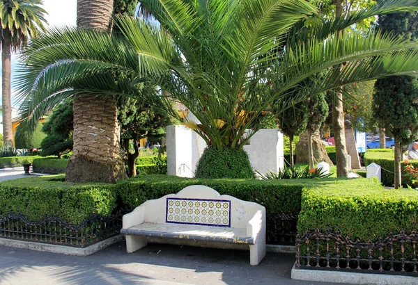 市民可在公园内看到长椅上的灌木 棕榈树及植物 — 图库照片