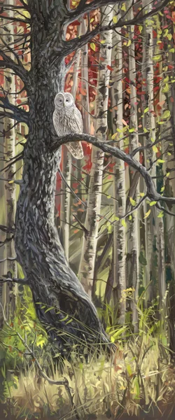 sonbahar orman baykuşu.