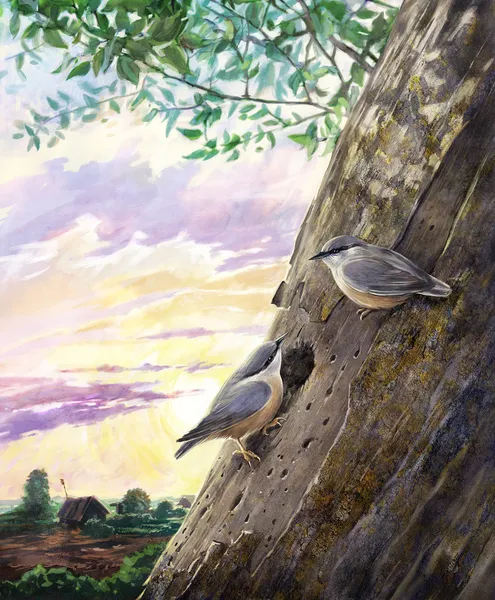 bir ağaçta iki memeli