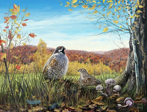 sonbahar ormanda iki kuş