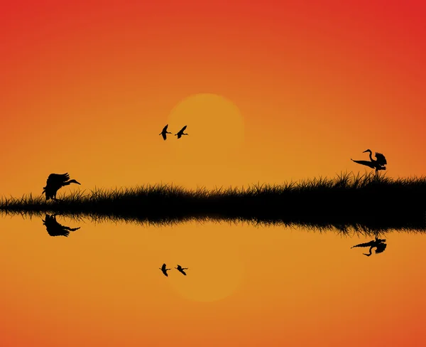 Silhouette du reflet des oiseaux dans le lac Images De Stock Libres De Droits