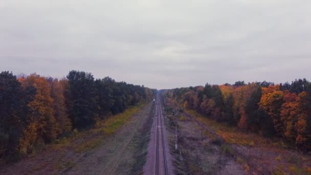 Sobrevolando Ferrocarril Con Tren Perdido Sobrevolando Rieles Dentro Bosque Vuelo — Vídeos de Stock