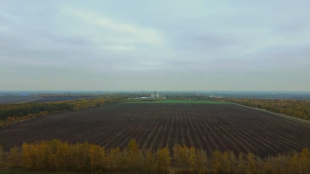 Aerial Survey Agricultural Field Harvesting Drone Flight Height Arable Land — Stock Video