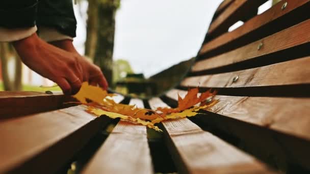 女性の手は秋の黄色のカエデの葉を木製のベンチに投げ — ストック動画
