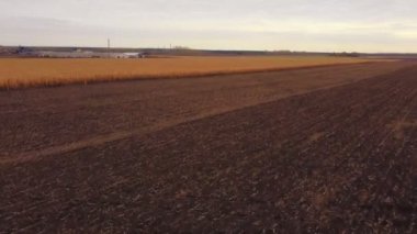 İnsansız hava aracı anteninin bir mısır tarlası ve taze ekilebilir arazi üzerinde yavaşça uçuşu yer üstünde saat yönünde alçalıyordu. Güneşli bir akşamda gün batımında ve gün doğumunda
