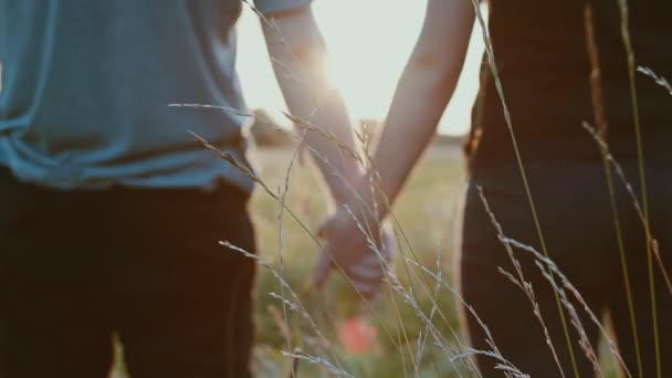 Ein Kerl Und Ein Mädchen Nehmen Sich Liebevoll Die Hände — Stockvideo