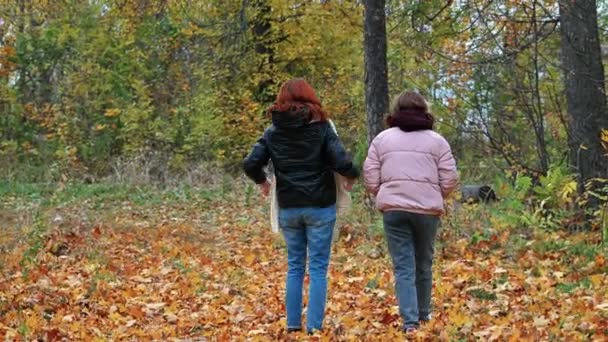 两个年轻姑娘在公园后视镜下踩着落黄的树叶散步 — 图库视频影像