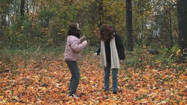 Two Young Girls Dance Autumn Yellow Park Fallen Leaves — Stock Video