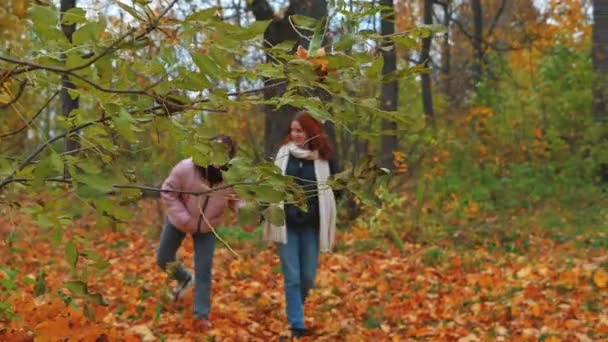 Due Giovani Ragazze Stanno Camminando Tenendosi Mano Foglie Gialle Cadute — Video Stock