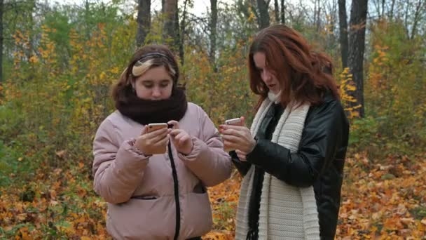 Dwie Młode Dziewczyny Jesiennym Żółtym Parku Grać Telefony — Wideo stockowe