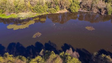Etrafı ağaçlarla çevrili kirli göl ve su bataklığının en üst manzarası..