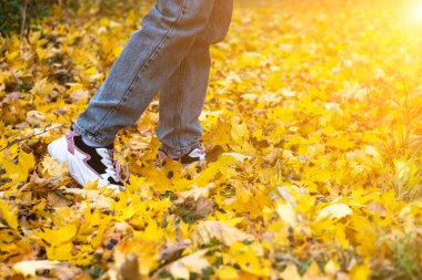 Spor ayakkabılı kadınların ayakları sarı yapraklar üzerinde yürür..