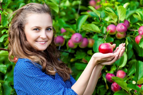 A woman in the apple garden — Stock Photo, Image