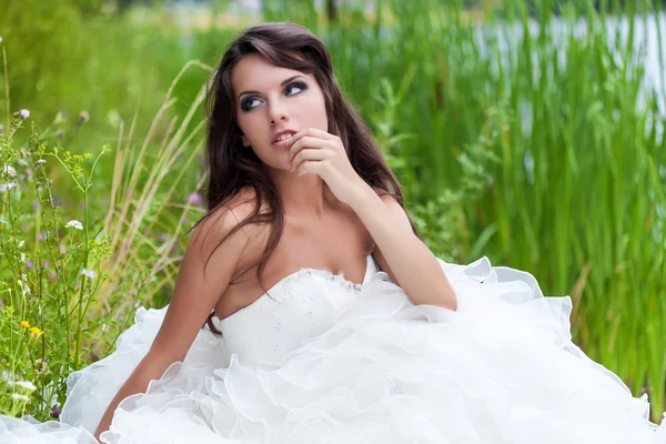 A bride in the field — Stock Photo, Image