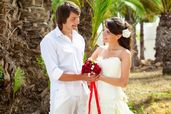 Bride and groom near palm-tree — Stock Photo, Image