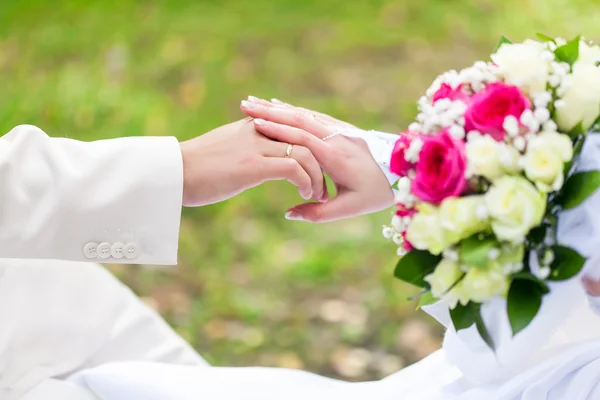 Bride and groomare are holding hands — Stock Photo, Image