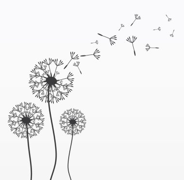 Download Dandelion Free Vector Eps Cdr Ai Svg Vector Illustration Graphic Art