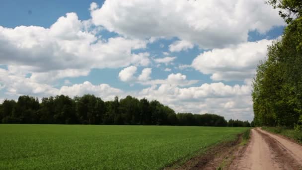 Full-HD-Video von grünem Feld und blauem Himmel — Stockvideo