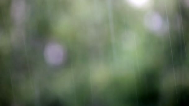 雨水滴特写的背景 — 图库视频影像