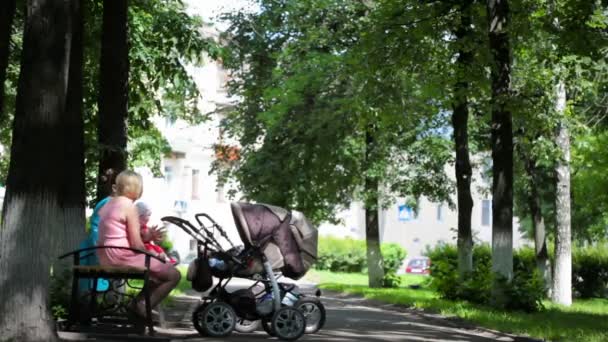 Two mothers with buggies  are sitting in the park — Stock Video