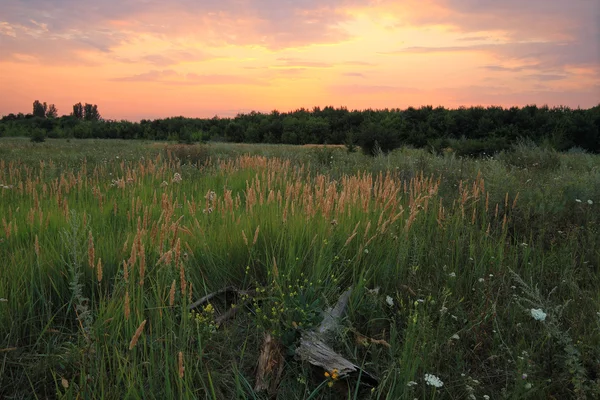 Bozkırda gün batımı.