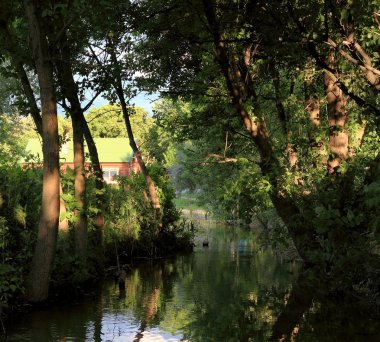 ahşap küçük bir nehir.