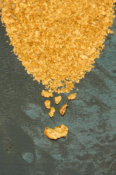 Doğal plaser altın — Stok fotoğraf