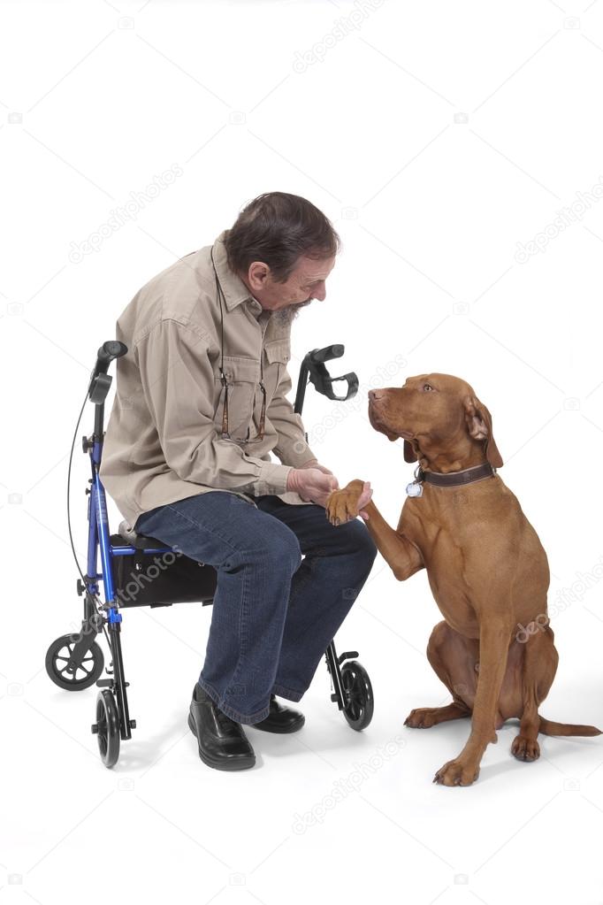Elderly man holdig dogs paw
