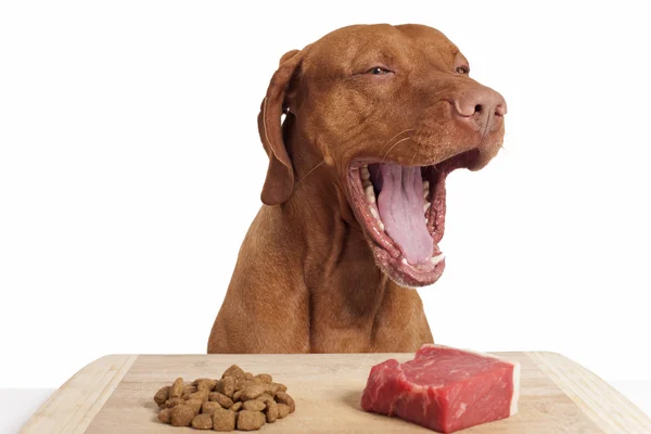 Dog with wide open mouth Stock Photo