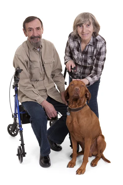 Senior couple with a dog — Stock Photo, Image