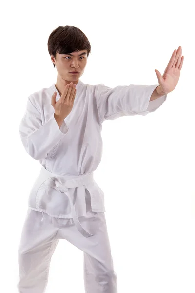 Aziatische kungfu vechter man — Stockfoto