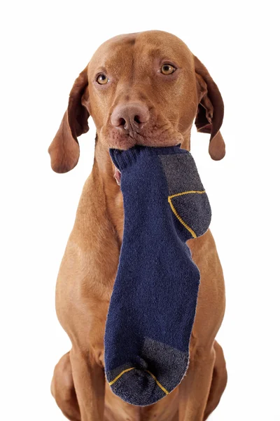 Temizlemeye yardımcı olacağız