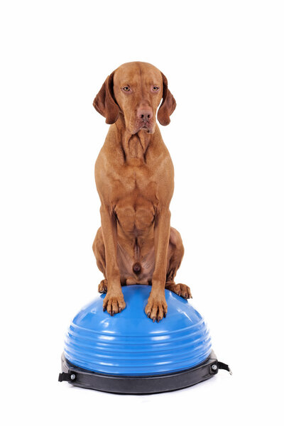 Сбалансированный на вершине
