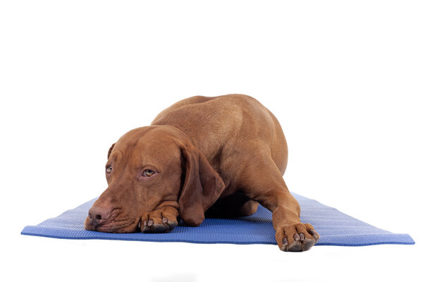 иногда нужно отдыхать
