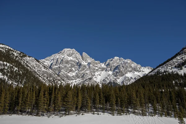 Pico de la montaña sobre el bosque — Foto de Stock