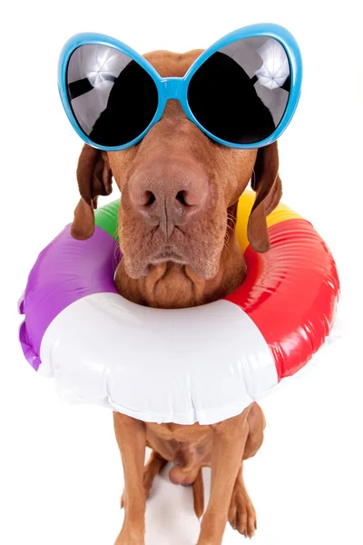 Is it summer yet ? — Stock Photo, Image