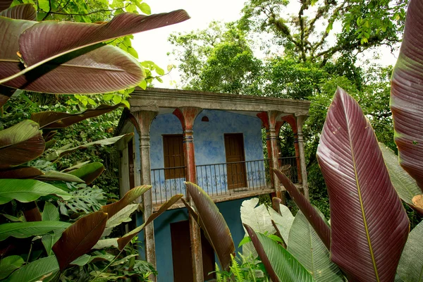 Покинутий будинок у джунглях — стокове фото