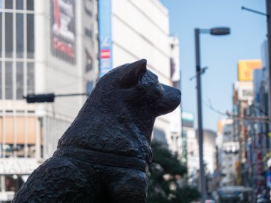 Shibuya istasyonunun dışındaki ünlü Hachiko heykeli.