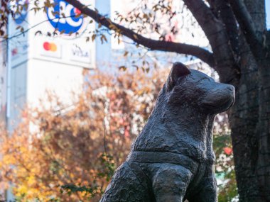 Shibuya istasyonunun dışındaki ünlü Hachiko heykeli.