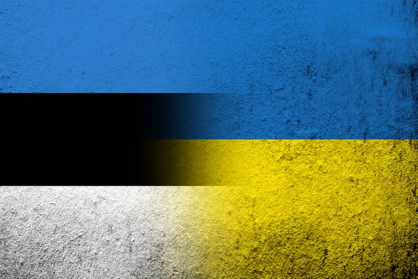 Estonská Republika Státní Vlajka Národní Vlajkou Ukrajiny Grunge Pozadí — Stock fotografie