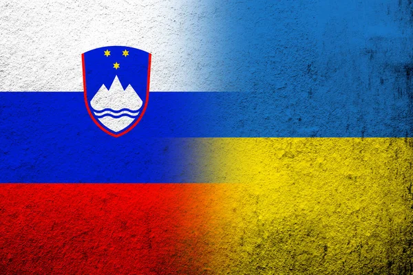 Slovinská Republika Národní Vlajka Národní Vlajkou Ukrajiny Grunge Pozadí — Stock fotografie